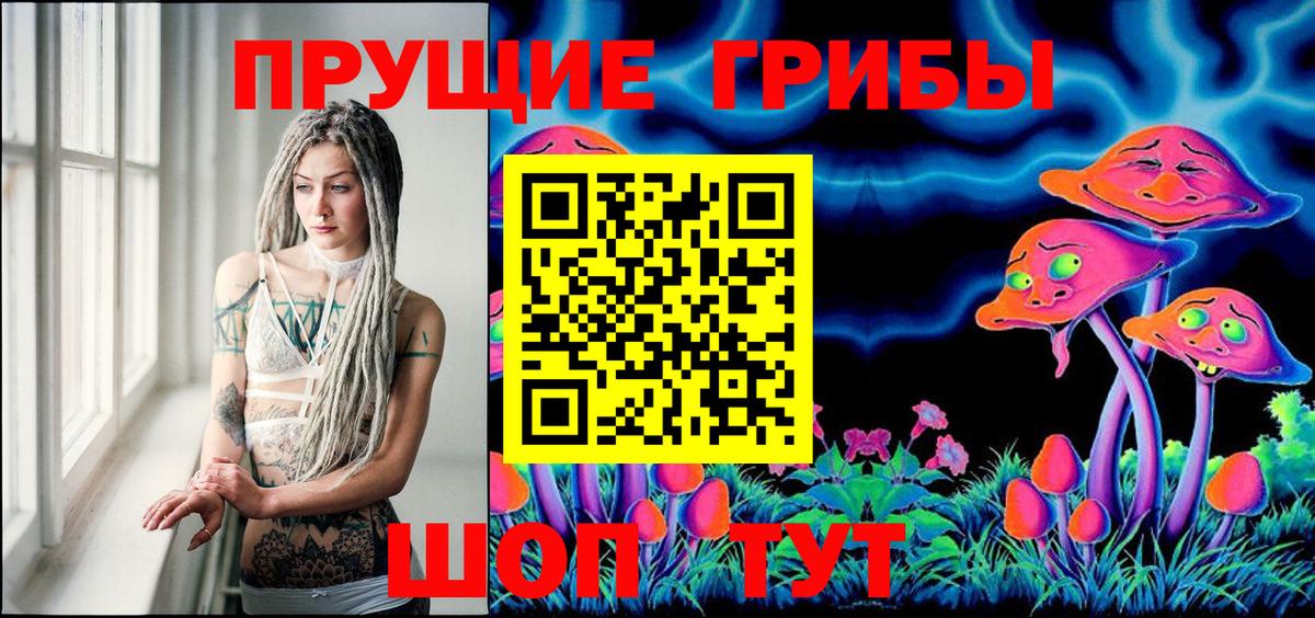Псилоцибиновые грибы Psilocybine cubensis Барабинск